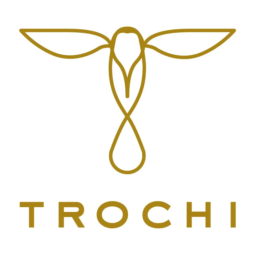 Trochi Lux Pro Carry-On Spinner Luggage